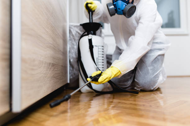 Best Emergency Pest Control  in Agler Estates, FL