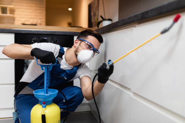 Best Pest Control Near Me  in Agler Estates, FL