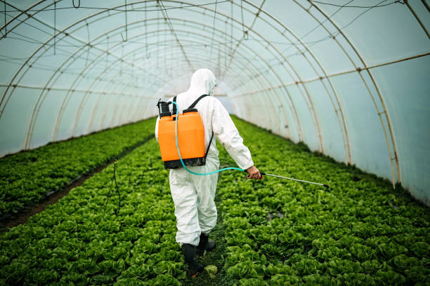 Best Pest Prevention Services  in Agler Estates, FL