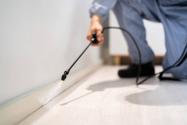 Best Cockroach Control Services  in Agler Estates, FL