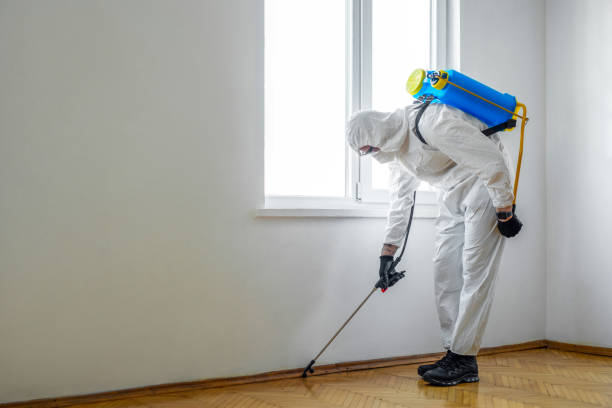 Best Affordable Pest Control Services  in Agler Estates, FL