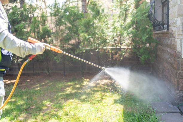 Best Termite Control Services  in Agler Estates, FL