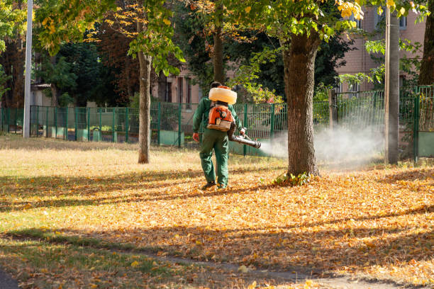 Best Best Pest Control Near Me  in Agler Estates, FL